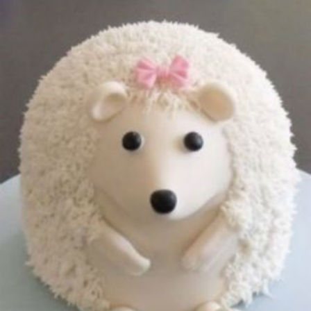 Hedgehog cake - Regency Cakes Online Shop